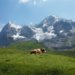 【スイス旅行記３】メンリッヒェン～クライネシャイデックの絶景ハイキング。山岳ホテルに泊まる☆